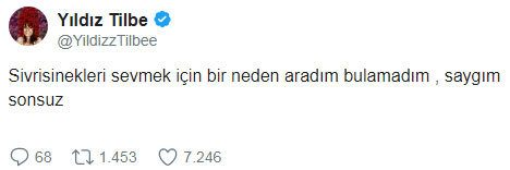 İşte o çok konuşulan Yıldız Tilbe tweetleri!