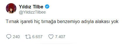 İşte o çok konuşulan Yıldız Tilbe tweetleri!