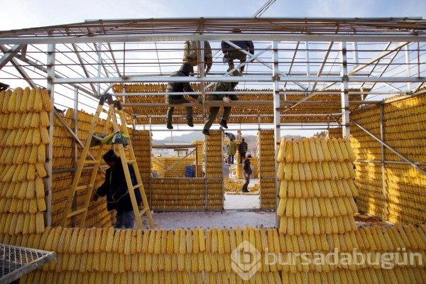 2017'nin en tuhaf anları