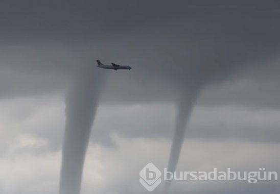 Doğada ürperten anlar