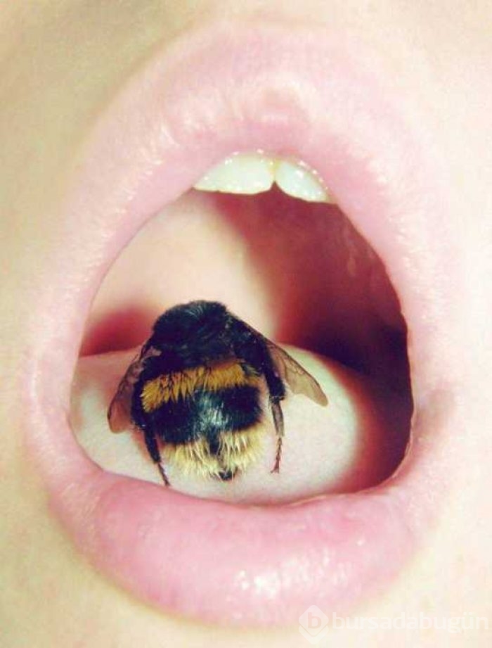 Günün en çok paylaşan fotoğrafları