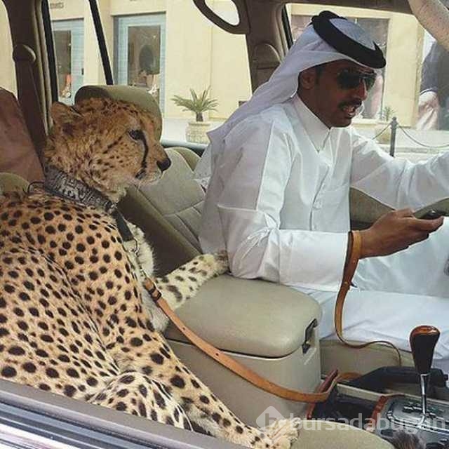 Günün en çok paylaşan fotoğrafları