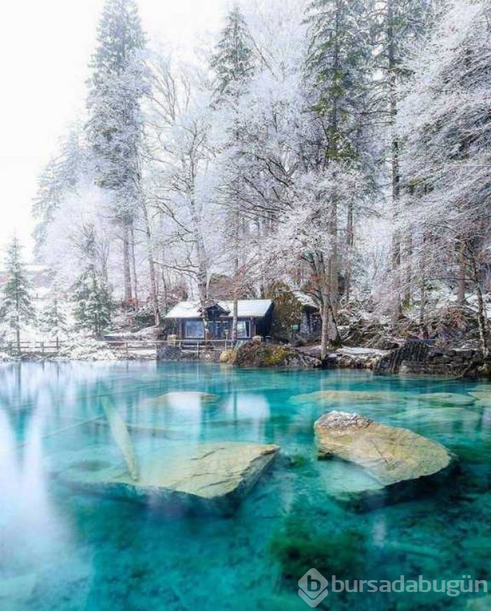 Günün en çok paylaşan fotoğrafları