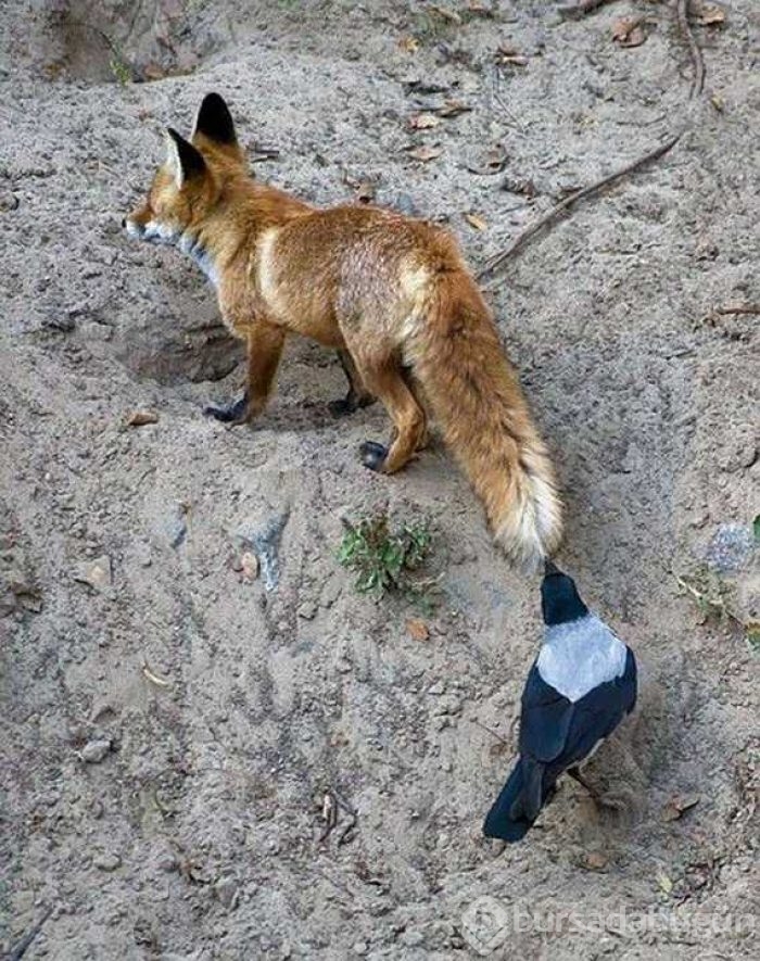 Günün en çok paylaşan fotoğrafları