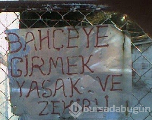 İbretlik yasaklar