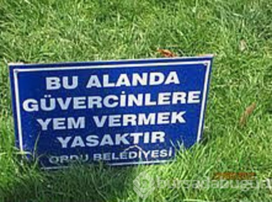 İbretlik yasaklar