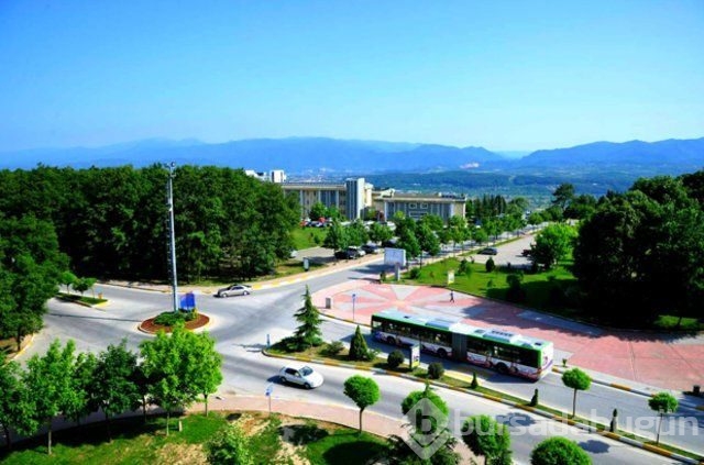 Türkiye'de hangi il hangi takımı tutuyor! Bursalılar şaşırttı
