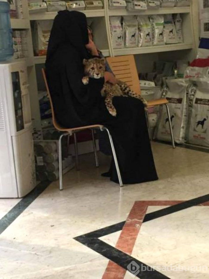 Dubai'den yok artık dedirten kareler
