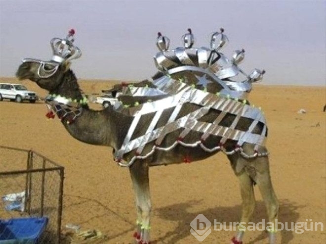 Dubai'den yok artık dedirten kareler