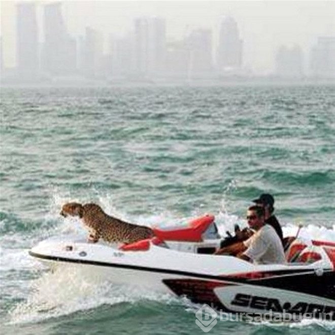 Dubai'den yok artık dedirten kareler