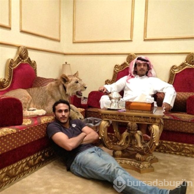 Dubai'den yok artık dedirten kareler