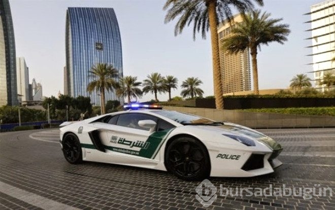Dubai'den yok artık dedirten kareler