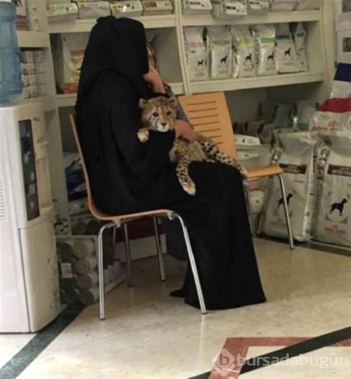 Dubai'den yok artık dedirten kareler