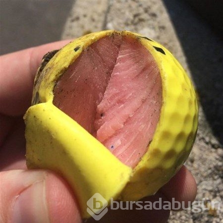 Gözleriniz sizi kandırıyor