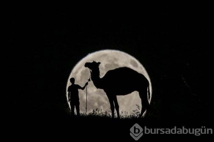 2017'ye damga vuran fotoğraflar!