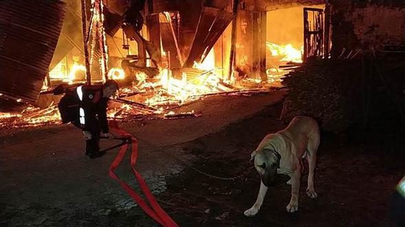 Fabrika yandı, bağlı olan köpeği itfaiye kurtardı
