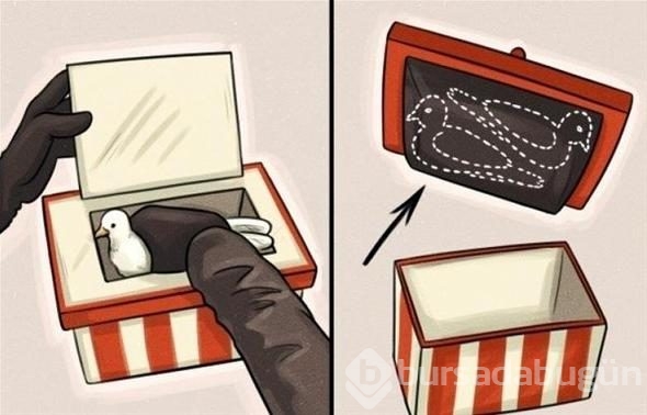 Şaşkına çeviren gösterinin sırrı ortaya çıktı
