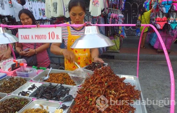 Tayland`ın sokak yemekleri
