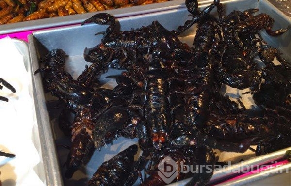 Tayland`ın sokak yemekleri
