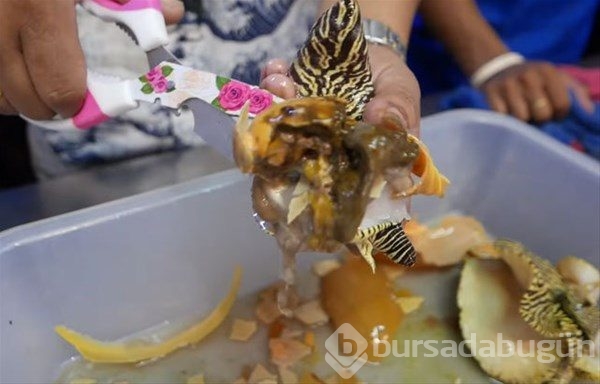 Tayland`ın sokak yemekleri
