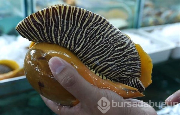 Tayland`ın sokak yemekleri
