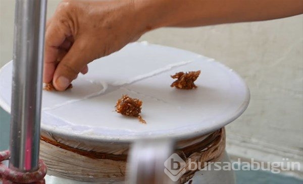 Tayland`ın sokak yemekleri
