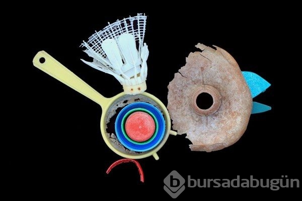 En iyi çevre fotoğrafçıları belli oldu
