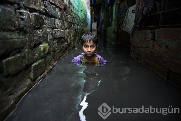 En iyi çevre fotoğrafçıları belli oldu