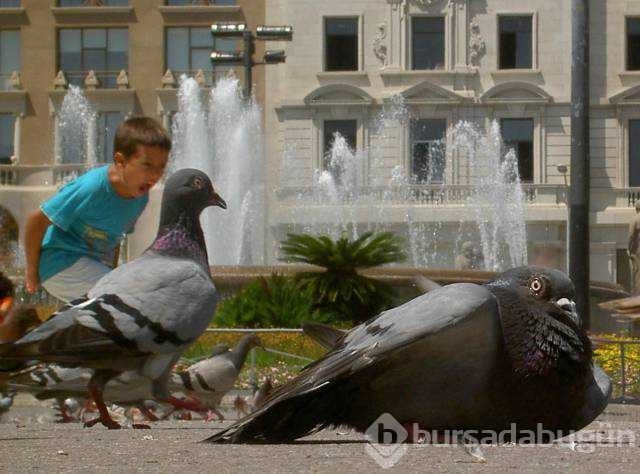 Günün en çok paylaşılan fotoğrafları
