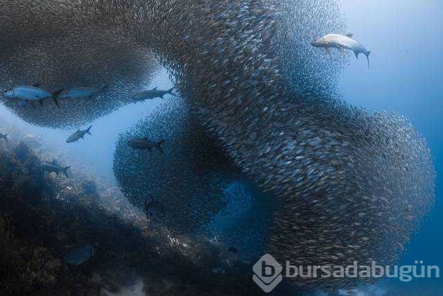 Günün en çok paylaşılan fotoğrafları
