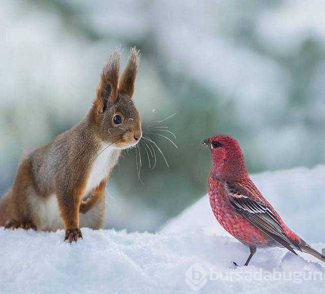 Günün en çok paylaşılan fotoğrafları
