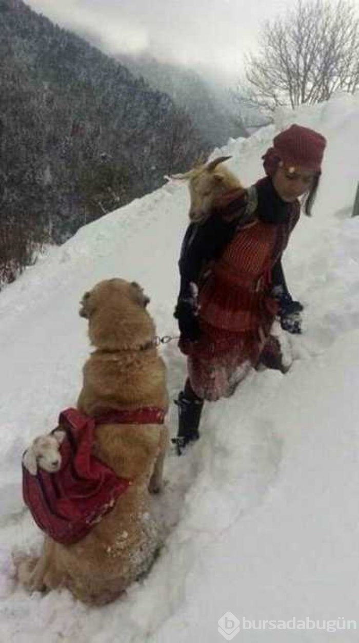Günün en çok paylaşılan fotoğrafları

