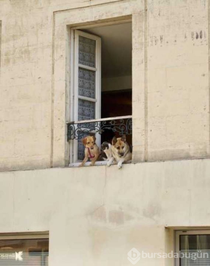 Günün en çok paylaşılan fotoğrafları
