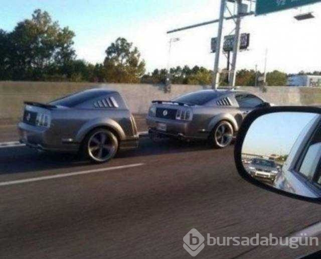 Günün en çok paylaşılan fotoğrafları

