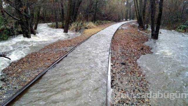 Günün en çok paylaşılan fotoğrafları
