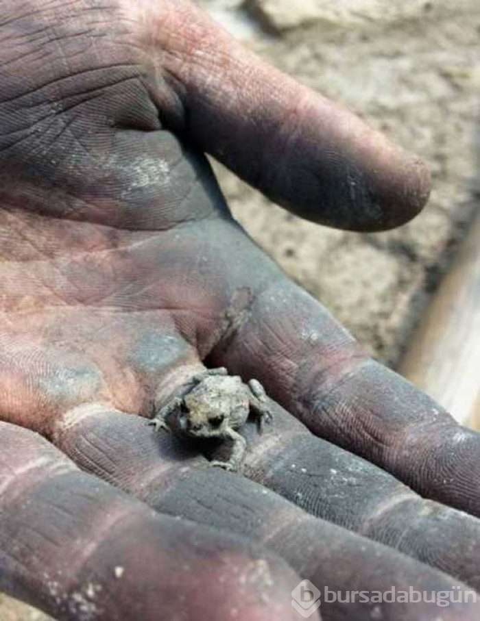 Günün en çok paylaşılan fotoğrafları
