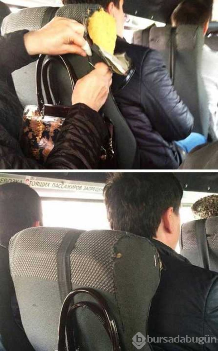 Günün en çok paylaşılan fotoğrafları
