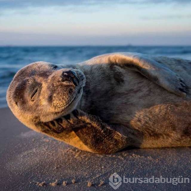 Günün en çok paylaşılan fotoğrafları
