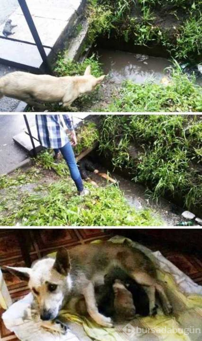 Günün en çok paylaşılan fotoğrafları
