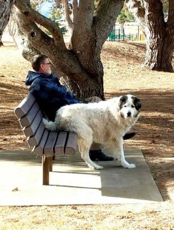 Günün en çok paylaşılan fotoğrafları

