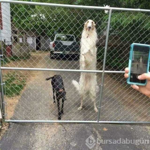 Günün en çok paylaşılan fotoğrafları
