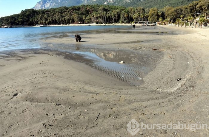 Muğla'da deniz suyu 25 metre çekildi
