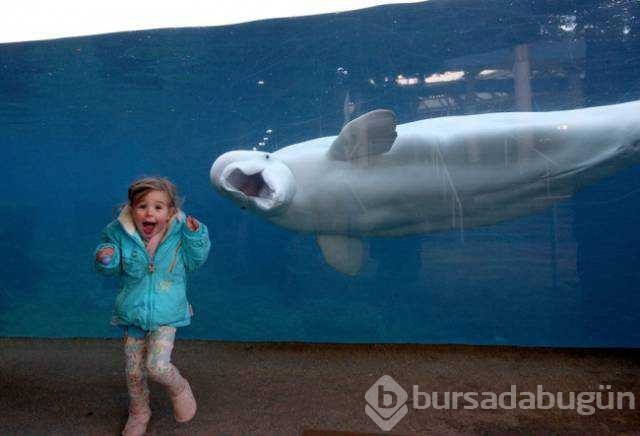 Sosyal medyada en çok paylaşılan fotoğrafları