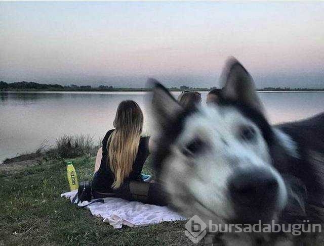 Sosyal medyada en çok paylaşılan fotoğrafları