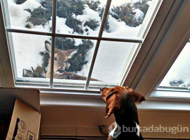 Sosyal medyada en çok paylaşılan fotoğrafları