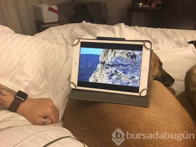 Sosyal medyada en çok paylaşılan fotoğrafları