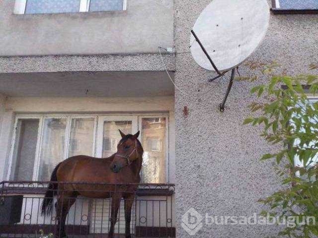 Sosyal medyada en çok paylaşılan fotoğrafları