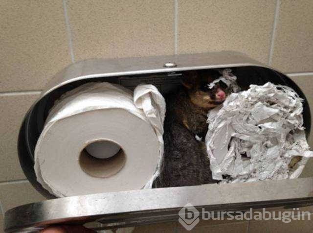 Sosyal medyada en çok paylaşılan fotoğrafları