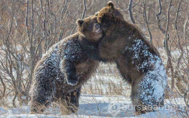 Sosyal medyada en çok paylaşılan fotoğrafları