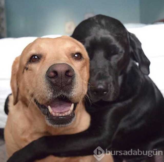 Sosyal medyada en çok paylaşılan fotoğrafları